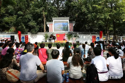 小布掀起社会经济咨询新风潮，今日重磅新闻引发行业关注