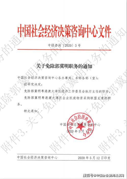 中国社会经济决策咨询中心关于郭冀明与马宇光勾结诬陷等不法行为的严正声明